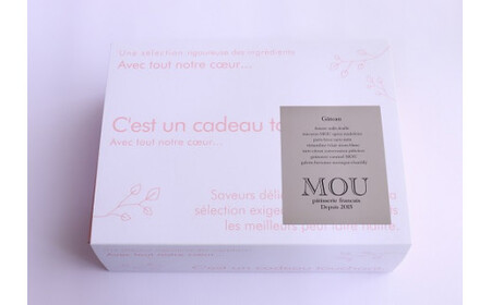 『G7軽井沢』にて提供　マカロン15個詰合せ | マカロン まかろん りんご蜂蜜 スイーツ 桔梗ヶ原 メルロ 赤ワイン シトロン ミエル レモン フレーバー 詰め合わせ 甘い 塩尻市 長野県 