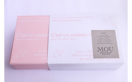 『G7軽井沢』にて提供　マカロン15個詰合せ | マカロン まかろん りんご蜂蜜 スイーツ 桔梗ヶ原 メルロ 赤ワイン シトロン ミエル レモン フレーバー 詰め合わせ 甘い 塩尻市 長野県 