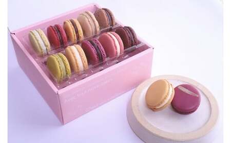 『G7軽井沢』にて提供　マカロン10個詰合せ | マカロン まかろん りんご蜂蜜 スイーツ 桔梗ヶ原 メルロ 赤ワイン シトロン ミエル レモン フレーバー 詰め合わせ 甘い 塩尻市 長野県
