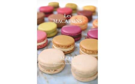 『G7軽井沢』にて提供　マカロン10個詰合せ | マカロン まかろん りんご蜂蜜 スイーツ 桔梗ヶ原 メルロ 赤ワイン シトロン ミエル レモン フレーバー 詰め合わせ 甘い 塩尻市 長野県