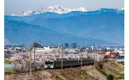 りんご和牛信州牛 切り落とし 約400g
