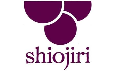 りんご和牛信州牛 切り落とし 約400g