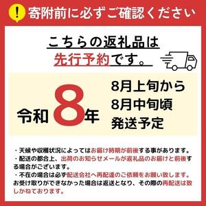 【2026年先行受付】 桃 約3kg （ 9 ～ 10 玉 ）【8月上旬以降発送予定】 