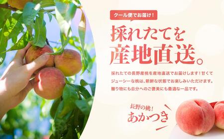 【2026年先行受付】 桃 約3kg （ 9 ～ 10 玉 ）【8月上旬以降発送予定】 