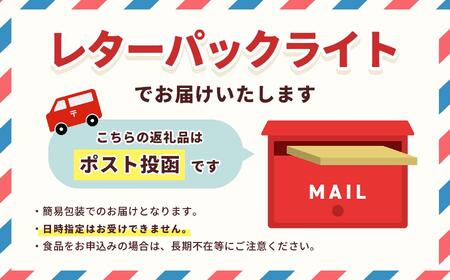 一泊ドック（プレミアム） 