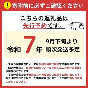 【2025年 先行予約】 【ご家庭用】 【数量限定】 農家さん応援企画！！ シャインマスカット 1.8kg 2025年9月下旬～順次発送予定 塩尻市産 | シャイン ぶどう 葡萄 ブドウ くだもの 果物 フルーツ マスカット しゃいん ますかっと 先行 先行予約 旬 塩尻 長野 信州