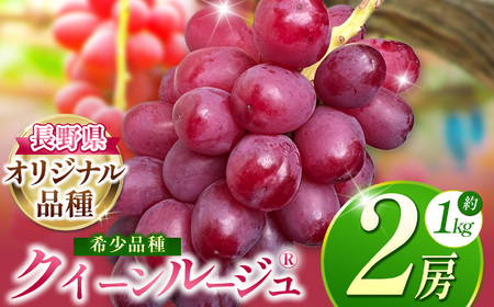 【2025年 先行予約】 クイーンルージュ 2房 | 果物 くだもの フルーツ 葡萄 ぶどう ブドウ 長野県 塩尻市