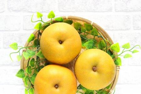 【2026年先行予約】 長野県産 南水 約5kg （10～14玉）【9月下旬以降発送予定】