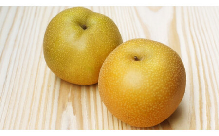 【先行予約】ジューシーで上品な甘さ!長野県産 豊水 約5kg ( 10 ~ 14 玉 ) 【9月中旬頃~発送予定】