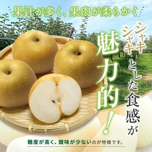 【先行予約】ジューシーで上品な甘さ!長野県産 豊水 約5kg ( 10 ~ 14 玉 ) 【9月中旬頃~発送予定】