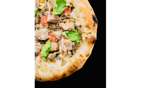 信州ご当地ピッツァ Sサイズ5枚セット （直径20cm） |  ピザ ぴざ ピッツァ ぴっつぁ pizza ご当地 ピザ 長野県 塩尻市