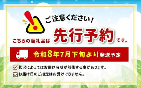 【2026年分先行予約】 極甘スイートコーン 5? 2L級 13本（高原野菜の名産地　信州しおじり洗馬産）| 野菜 やさい とうもろこし スイートコーン 長野県 塩尻市