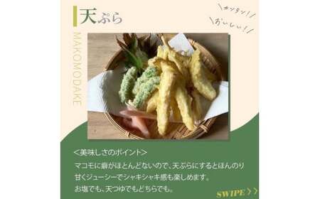 【2026年 先行予約】完全自然栽培マコモダケ 約1kg 【2026年9月中旬～発送予定】|マコモダケ まこもだけ マコモ たけのこ トウモロコシ 長野県 塩尻市