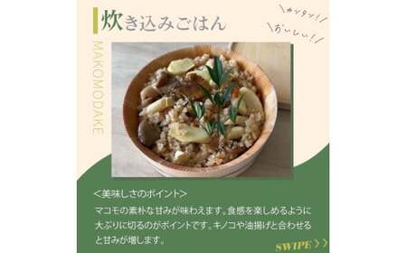 【2026年 先行予約】完全自然栽培マコモダケ 約1kg 【2026年9月中旬～発送予定】|マコモダケ まこもだけ マコモ たけのこ トウモロコシ 長野県 塩尻市