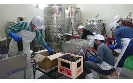 丘の上 幸西ワイナリー シャルドネ2024 | ワイン 白 シャルドネ お酒 丘の上 幸西ワイナリー ノンバリック 長野県 塩尻市