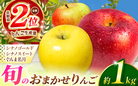 【2026年先行予約】 信州産 塩尻エールりんご！旬のおまかせりんご 約1kg(3～5玉) シナノゴールド・シナノスイート・ぐんま名月から旬のりんごをお届け！ 【10月中旬以降発送予定】