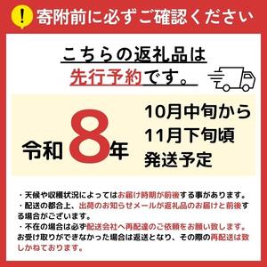 【2026年先行予約】 信州産 塩尻エールりんご！旬のおまかせりんご 約1kg(3～5玉) シナノゴールド・シナノスイート・ぐんま名月から旬のりんごをお届け！ 【10月中旬以降発送予定】