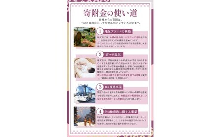 【信州塩尻】コンコンせんべい 10枚入り×20袋 | 厳選 そばの実 自社製紛 山芋 香り こだわり 蕎麦 そば 信州そば 各務製粉 干しそば 乾麺 40人前 長野県 塩尻市 