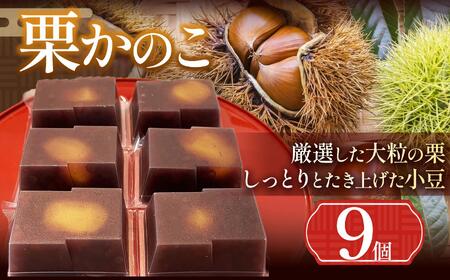 栗かのこ 9個入 ｜ 栗かのこ 栗 小豆 和菓子 ギフト 上品な甘さ 塩尻市 長野県