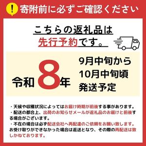 【2026年 先行予約】信州塩尻産 こくうま ナイヤガラ 2kg （6房～8房 生食用）