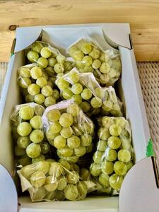 【2026年 先行予約】信州塩尻産 こくうま ナイヤガラ 2kg （6房～8房 生食用）