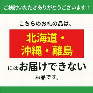 【先行予約】信州産 サンふじ約3kg（8～12玉）《2026年11月中旬頃から発送》