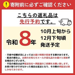 【先行予約】信州産 訳ありりんご【品種おまかせ】約3kg(8～12玉) 【秋映・シナノスイート・シナノゴールド・名月・サンふじ】《2026年10月上旬頃から発送》