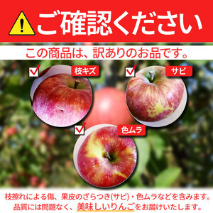 【先行予約】信州産 訳ありりんご【品種おまかせ】約3kg(8～12玉) 【秋映・シナノスイート・シナノゴールド・名月・サンふじ】《2026年10月上旬頃から発送》