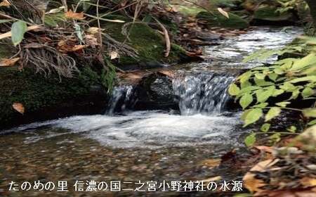 信州塩尻たのめの里 大分水嶺(だいぶんすいれい)の天然水（6回お届け）