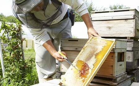 【熟成生はちみつ】信州産はちみつ　百科（信州）180g