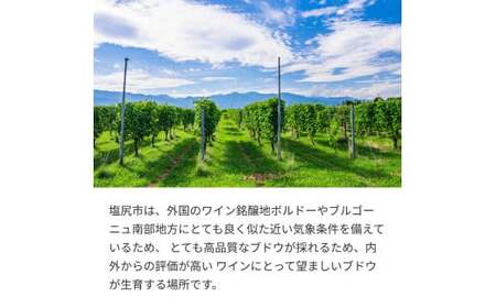 井筒ワイン シャルドネ樽熟