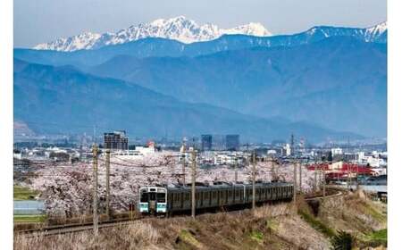 井筒ワイン シャルドネ樽熟