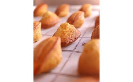 信州りんご蜜を使用したマドレーヌ２種類詰合せ（8個）| マドレーヌ 焼き菓子 詰合せ ギフト スイーツ りんご蜜 はちみつ 蜂蜜 フランス菓子 塩尻市 長野県