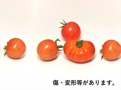 高糖度ミニトマト：クラシックトマト『ハイドン』1kg箱【糖度は基本10度以上　『ショパン』よりもおいしい粒もある 長野県 佐久市 】