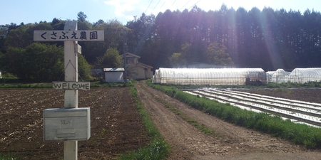 【期間限定】生でも美味しい！高原育ちの甘いニンジン約5kg（北海道・沖縄・離島配送不可）キャロット 人参 長野県 信州 佐久市 高原