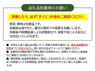 【期間限定】生でも美味しい！高原育ちの甘いニンジン約5kg（北海道・沖縄・離島配送不可）キャロット 人参 長野県 信州 佐久市 高原