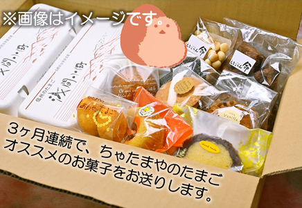 【定期便3回】 ちゃたまや　浅間小町20ヶと焼菓子おまかせセット【 たまご ちゃたまや 「浅間小町」は長野県知事賞を受賞のたまご 長野県 佐久市 】