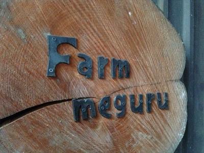 【先行予約】ニンジンジュース （1000ml×6本入り）＜2025年12月10日以降順次発送＞人参 にんじん 野菜 ジュース 飲料 長野県 信州【 ニンジン にんじん 人参 にんじんジュース 人参ジュース 健康 野菜ジュース 食べるジュース 有機栽培 ニンジン 農業法人 食べるジュース 朝食 長野県 佐久市 Farmめぐる株式会社 旬彩 】