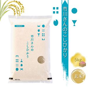 【令和7年産・玄米5kg】特別栽培米 市川さんのこしひかり こしひかり 信州 こしひかり コシヒカリ 長野県 佐久市