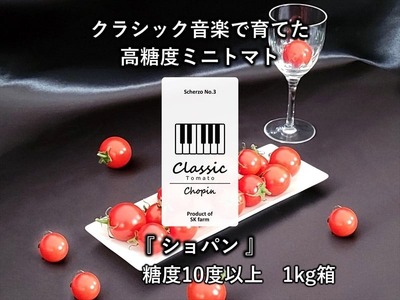 高糖度ミニトマト：クラシックトマト『ショパン』1kg箱＜北海道・沖縄県・離島は発送不可＞【糖度10度以上　『酸味とのバランス』　『口に広がる余韻』 長野県 佐久市 】