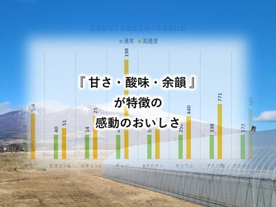 高糖度ミニトマト：クラシックトマト『ショパン』1kg箱＜北海道・沖縄県・離島は発送不可＞【糖度10度以上　『酸味とのバランス』　『口に広がる余韻』 長野県 佐久市 】