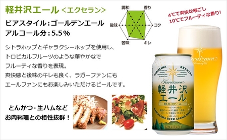 【6ヶ月定期便】クラフトビール 3種12缶 飲み比べ セット | クラフトビール 地ビール 軽井沢ブルワリー