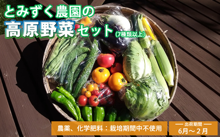 【6月～2月出荷】産地直送！旬の高原野菜セット(北海道・沖縄県・離島は配送不可) 長野 信州 無農薬 旬 季節 新鮮 詰合せ 直送 先行予約＜出荷時期2026年6月17日以降出荷開始～2027年2月28日出荷終了＞