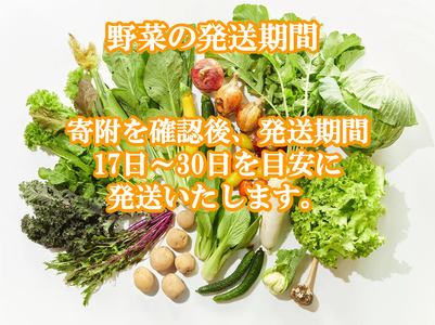 【6月～2月出荷】産地直送！旬の高原野菜セット(北海道・沖縄県・離島は配送不可) 長野 信州 無農薬 旬 季節 新鮮 詰合せ 直送 先行予約＜出荷時期2026年6月17日以降出荷開始～2027年2月28日出荷終了＞