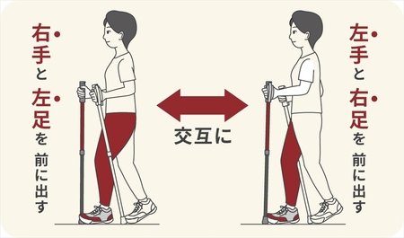 SINANO『しっかり2本杖(ブラウン)』 <沖縄県・離島は配送不可> シナノ ステッキ ポール 歩行 ウォーキング サポート 高齢者 介護 リハビリ 訓練 転倒防止 父の日 母の日 敬老 健康 ギフト プレゼント 贈り物