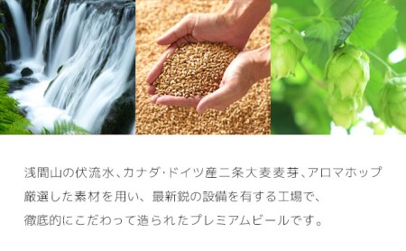 【12ヶ月定期便】クラフトビール 8種24缶 飲み比べセット | 地ビール 軽井沢ブルワリー