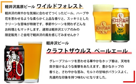 【定期便3カ月】長野県佐久市のクラフトビール6種24本よなよなエールと飲み比べビールセット
