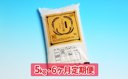 6ヶ月定期便 信州佐久産 コシヒカリ 五郎兵衛米 5kg 幻の米 美味しいお米 お取り寄せ 長野県佐久市 ふるさと納税サイト ふるなび