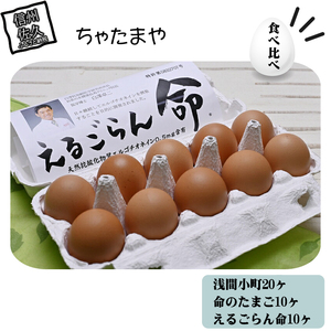 ちゃたまや」浅間小町20ヶ＋命のたまご10ヶ＋えるごらん命10ヶ
