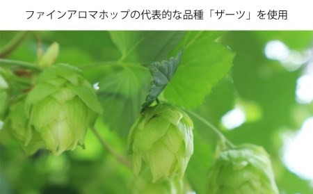 THE軽井沢ビール　10種10缶　飲み比べ　ギフトセット　12カ月定期便
